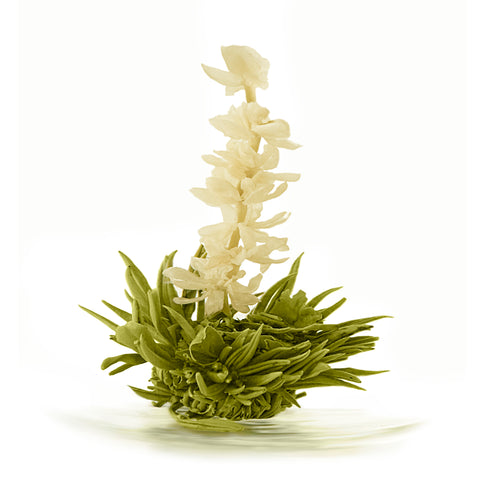 Seitsemän Enkeliä Teeruusuke