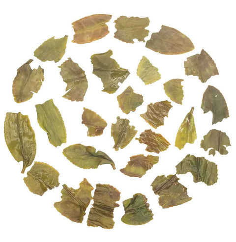 Darjeeling First Flush 2023 Avongrove 1 kg