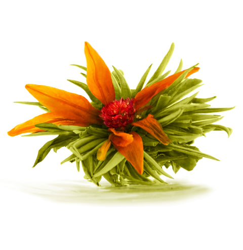 Tiikerin Lilja Teeruusuke