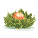 Ystävyyden Ruusu Teeruusuke Vihreä tee Forsman Tee